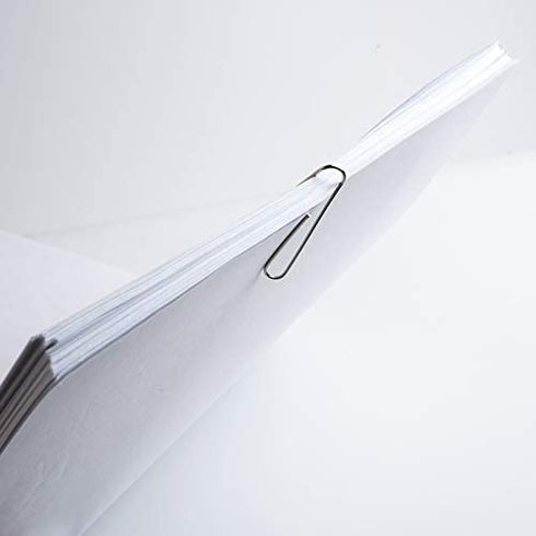DANRONG 650 PCS Paper Clips Assorted Sizes, Small Medium and Large (1.1", 1.3" & 2"), Paperclips for Office, School, Home Supplies-Silver