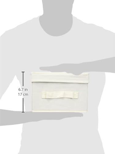Household Essentials 115 Storage Box with Lid and Handle | Natural Beige Canvas | Jumbo