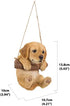 Hi Line 87704-I Hanging Golden Retriever Puppy Outdoor Figurine, Tan Brown