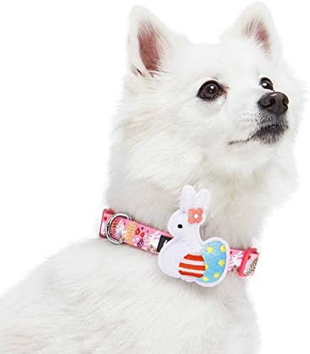 Blueberry Pet Easter Bunny and Egg Adjustable Dog Collar with Detachable Décor, Pink, Large, Neck 18"-26"