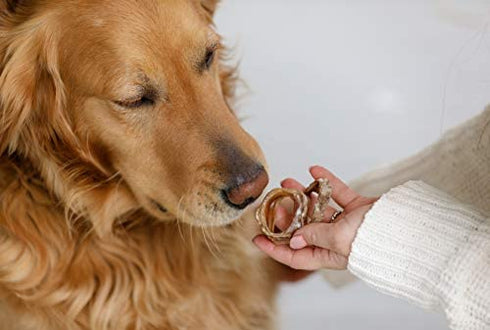 K9 Connoisseur Low to Odor Free Trachea Dog Chews For Dogs Made In USA Natural Dog Treats for Large Dogs Aggressive Chewers Also the Best For Medium & Small Breed Dogs (Mobility Crunchy O's - 8oz Bag)