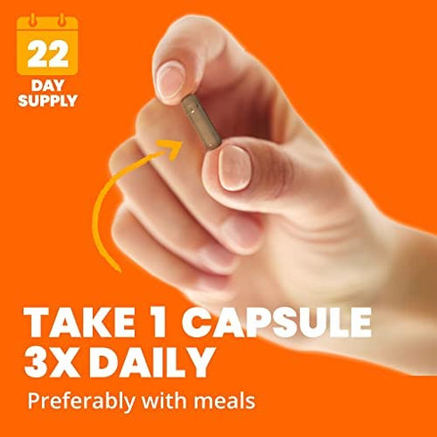 Sundown Cinnamon Capsules, Supports Sugar Metabolism, Non-GMO, Gluten-Free, Dairy-Free, 200 Ct