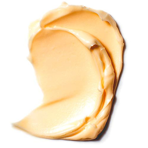 L'Oreal Paris Skincare Age Perfect Hydra-Nutrition Day Cream with Manuka Honey Extract and Nurturing Oils, Anti-Aging Cream to Firm and Improve Elasticity on Dry Skin, 2.55 oz.