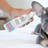 SKOUT'S HONOR: Probiotic Itch Relief Spray for Dogs & Cats - Anti-Itch Spray with Oatmeal - 8 fl oz - Soothes and Hydrates Itchy, Irritated Skin - Hypoallergenic - Non-Medicated - Long-Lasting Relief