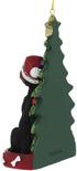 Kurt Adler Rottweiler Wearing Santa Hat with Christmas Tree Ornament C7954RW New