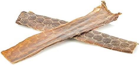 Best Bully Sticks 12-inch Joint Jerky Gullet Dog Treats (12 Pack) - All-Natural Beef Dog Treats