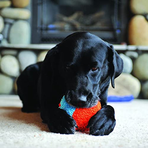 Chuckit! Indoor Ball Dog Toy, Soft Dog Toy (4.75 Inch)