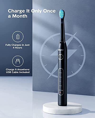 Bitvae Ultrasonic Electric Toothbrushes - Electric Toothbrush for Adults and Kids , American Dental Association Accepted , Rechargeable Travel Sonic Toothbrush with 8 Heads , Black D2