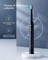 Bitvae Ultrasonic Electric Toothbrushes - Electric Toothbrush for Adults and Kids , American Dental Association Accepted , Rechargeable Travel Sonic Toothbrush with 8 Heads , Black D2