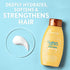 Aveeno Sunflower Oil Blend Conditioner, for Dry Damaged Hair, Dye, Paraben & Sulfate Surfactants Free, 12oz