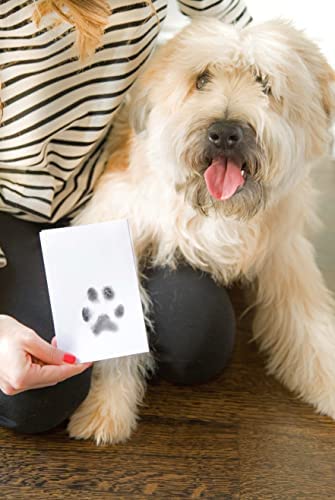 Pearhead Small Pet Paw Print Clean-Touch Ink Pad and Imprint Cards, for Small Sized Cats or Dogs, Pet Owner Gifts, DIY Keepsake Pawprint Maker, Black