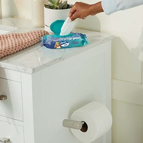 Charmin Flushable Wipes, 40 Flushable Wipes Per Pack