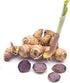 Addictive Wellness Thai Black Ginger Freeze Dried Powder 50g Kaempferia Parviflora Thai Ginseng
