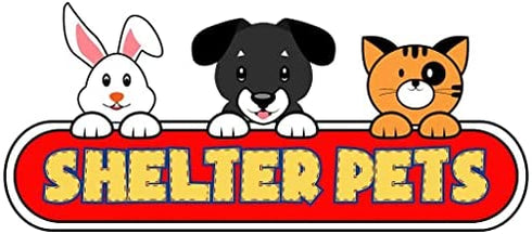 Shelter Pets Series One: Tig The Cat - 10" Gray Tabby Plush Toy Stuffed Animal - Based on Real-Life Adopted Pets - Benefiting The Animal Shelters They were Adopted from