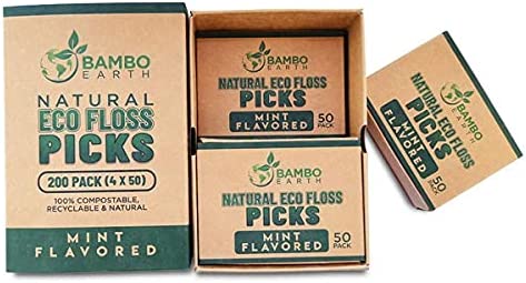 Natural Dental Floss Picks - Eco Friendly Cruelty Free & Vegan Tooth Flossers Pick Set with Biodegradable and Compostable BPA Free Handle & Zero Waste Packaging - 200 Pack (Mint Flavored)