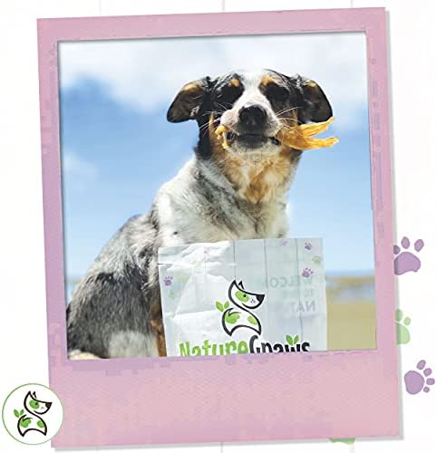 Nature Gnaws Tendons for Dogs - Premium Natural Beef Sticks - Simple Single Ingredient Tasty Dog Chew Treats - Rawhide Free - 4-5 Inch (5 Count)