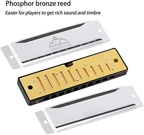 EastRock Blues Harmonica Mouth Organ Harp 10 Hole C Key with Case, Diatonic Harmonica for Beginner, Professional Player, Students gifts, Adult, Friends, Gift Silver