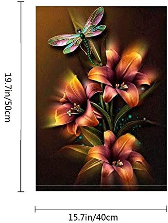 CANDYL DIY Oil Painting Paint by Number Kit for Kids Adults Students Beginner Diy Canvas Painting by Numbers Acrylic Oil Painting Arts Craft for Home Wall Decoration Lily Flower Dragonfly 16x20 Inch
