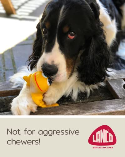 Sensory Caterpillar - Squeaky Dog Toys - Soft, Natural Rubber (Latex) - for Puppies, Small Dogs & Medium Dogs - Complies with Same Safety Standards as Children’s Toys (1 Pack)