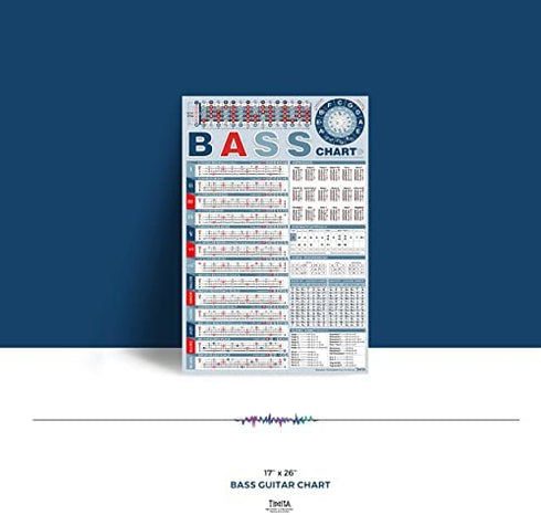 TiMitA Bass Note Chart of Scale Chords | Bass Reference Poster for Beginners and Teachers, A Perfect Bass Scale Poster of Acoustic Electric Bass • 2022 Version