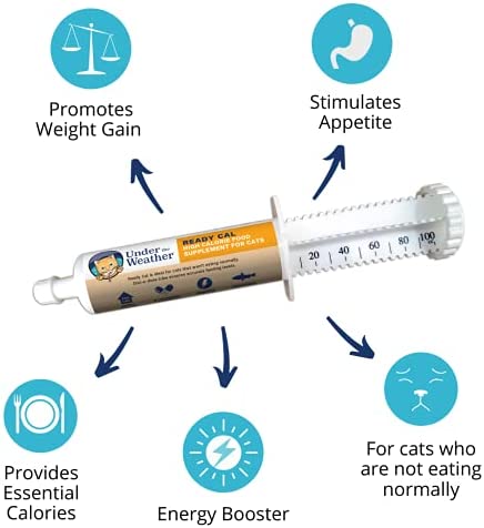 Under the Weather Pet | Ready Cal for Cats 100cc | High Calorie Nutritional Supplement for Weight Gain & Not Eating | 10 Vitamins, 7 Minerals, Omega Fatty Acids