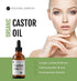 Castor Oil (2oz), USDA Certified Organic, 100% Pure, Cold Pressed, Hexane Free by Kate Blanc Cosmetics. Stimulate Growth for Eyelashes, Eyebrows, Hair. Skin Moisturizer & Hair Treatment Starter Kit