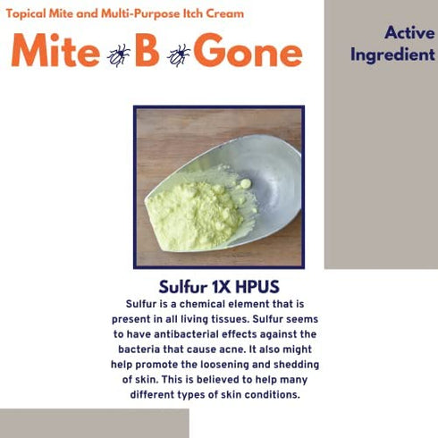 Mite-B-Gone 10% Sulfur Cream Itch Relief for Insect Bites, Acne, Itching and Redness (2oz) Fast and Effective Relief for All Bites with an All-Natural Blend of Anti-Inflammatory Ingredients
