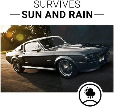 CAR GUYS Plastic Restorer | Bring Plastic, Rubber, and Vinyl Back to Life! | User Friendly Trim Restorer | Safe Auto Detailing Supplies | 8 Oz Kit with Foam Applicator