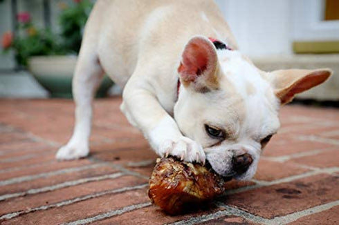 K9 Connoisseur Natural Dog Bones for Dogs Long Lasting & Large Dog Bones for Aggressive Chewers Breeds- Knuckle Bone Marrow Dog Bones Rawhide Free Dog Treats for Medium Dogs Made in USA Only (3 Pack)