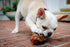 K9 Connoisseur Natural Dog Bones for Dogs Long Lasting & Large Dog Bones for Aggressive Chewers Breeds- Knuckle Bone Marrow Dog Bones Rawhide Free Dog Treats for Medium Dogs Made in USA Only (3 Pack)