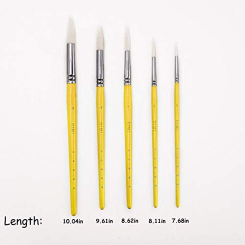 HIMI 5 Piece Water Color Brush Set for Watercolor Acrylic Oil Painting & Gouache Art(Yellow)