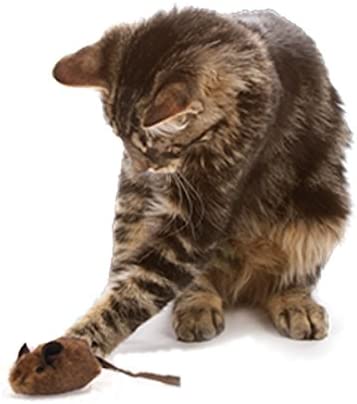 OurPets Play-N-Squeak Mouse Hunter Cat Toy (Interactive Cat Toy & Catnip Toy with Real Mouse Electronic Sound Catnip Toys for Cats) Perfect Cat Toys for Indoor Cats with Catnip)