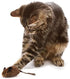 OurPets Play-N-Squeak Mouse Hunter Cat Toy (Interactive Cat Toy & Catnip Toy with Real Mouse Electronic Sound Catnip Toys for Cats) Perfect Cat Toys for Indoor Cats with Catnip)