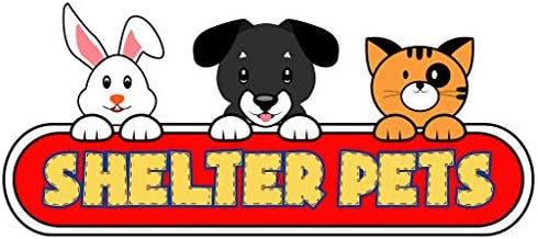 Shelter Pets Series Two: Jeffrey - 10" Orange and White Cat Plush Toy Stuffed Animal - Based on Real-Life Adopted Pets - Benefiting The Animal Shelters They were Adopted from - Kitten Kitty