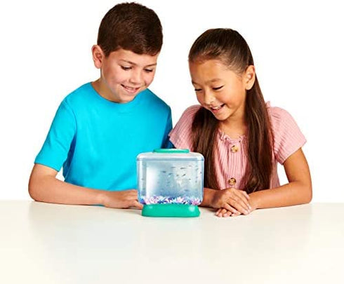 Little Live Aqua Dragons - Deep Sea Habitat - LED Light Up Tank Hatch and Grow Aquatic Pets