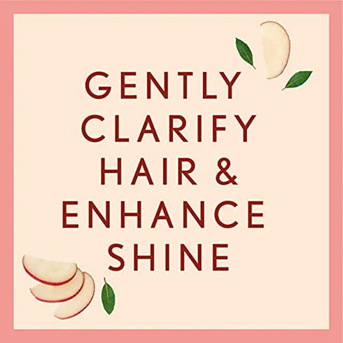 Aveeno Apple Cider Vinegar Sulfate-Free Shampoo for Balance & High Shine, Daily Clarifying & Soothing Scalp Shampoo for Oily or Dull Hair, Paraben & Dye-Free, 12 Fl Oz