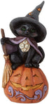Enesco Jim Shore Heartwood Creek Black Cat on Pumpkin Mini Figurine