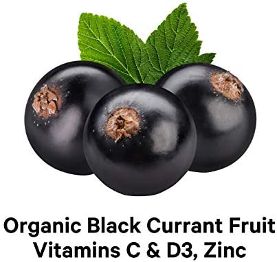 Codeage Black Elderberry Syrup, Vitamin C, Vitamin D, Zinc, Black Currant - Black Sambucus Liquid Drops Supplement for Kids & Adults – Elderberries Juice - Flavonoid, Vegan – 2-Month Supply – 4 fl oz
