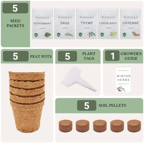Winter Indoor Garden Kit - Herb Garden Seed Starter Kit for Gardening Indoors | Plant Grow Kit with Sage Rosemary Seeds and Hot Pepper Seeds for Planting | Growing Fresh Kitchen Herbs - By Mr Sprout