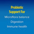 Enzymedica, Pro-Bio, Shelf Stable Probiotic for Healthy Digestion, 10 Billion CFU, 30 Capsules