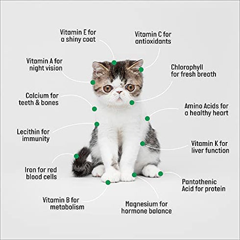 The Cat Ladies Cat Grass Refill Kit 100% Organic 3 Pack