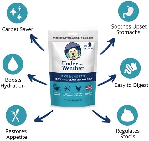 Under the Weather Pet Easy to Digest Bland Dog Food Diet, Aids Sick Dogs & Sensitive Stomachs | Electrolytes - Gluten Free, All Natural, Freeze Dried 100% Human Grade Meat | 1 Pack - Rice & Chicken