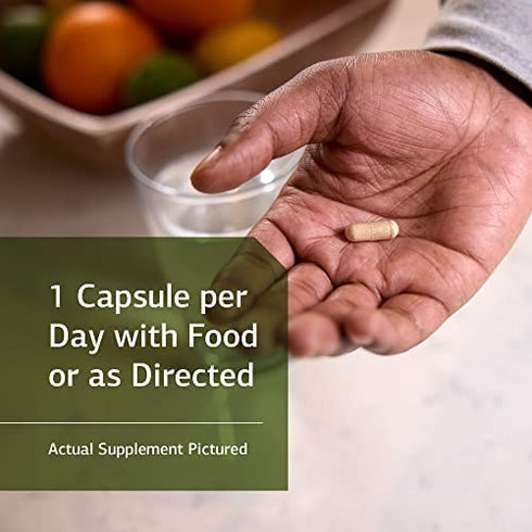 Standard Process Ferrofood - Whole Food Antioxidant, Healthy Blood and Hemoglobin with Cyanocobalamin, Acerola, Shiitake, Rice Bran, Organic Carrot, Alfalfa, Spanish Moss - 40 Capsules