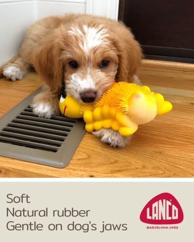 Sensory Caterpillar - Squeaky Dog Toys - Soft, Natural Rubber (Latex) - for Puppies, Small Dogs & Medium Dogs - Complies with Same Safety Standards as Children’s Toys (1 Pack)
