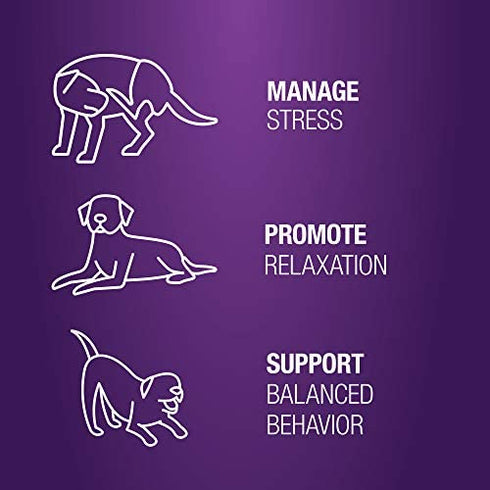 VetIQ Calming Support Supplement for Dogs, Anxiety Supplement Soft Chews, 90 Count