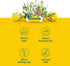 Ricola Berry Medley Bag | Cough Suppressant Throat Drops | Naturally Soothing Long-Lasting Relief - 19 Count (Pack of 1)