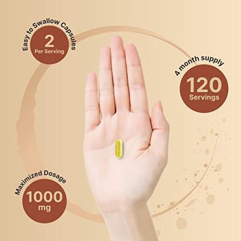 Naturebell Quercetin 1000mg Per Serving | 240 Capsules, Ultra Strength Quercetin Supplement | Bioflavonoids for Healthy Immune Response, Anti-Inflammatory & Internal Circulation