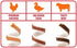 Good ‘n’ Fun Triple Flavor Spirals Variety Pack, 15 Count, Rawhide Chews for Dogs, 3 Savory Flavors