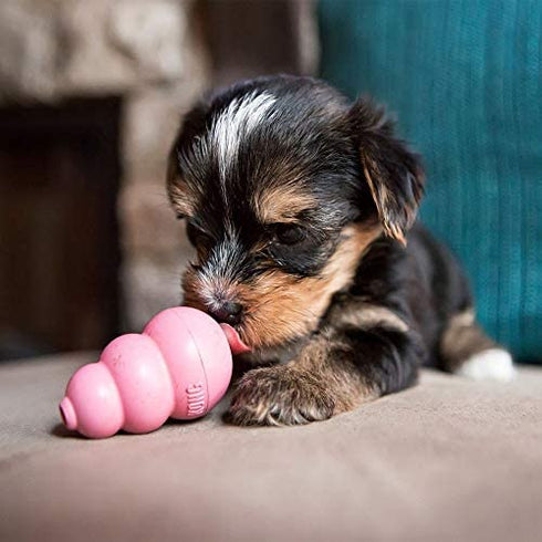 KONG - Puppy Toy Natural Teething Rubber - Fun to Chew, Chase and Fetch (Color May Vary) - for Extra Small Puppies