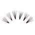 i-Envy Kiss Premium Knot Free 70 Individual Lashes (Triple Black)